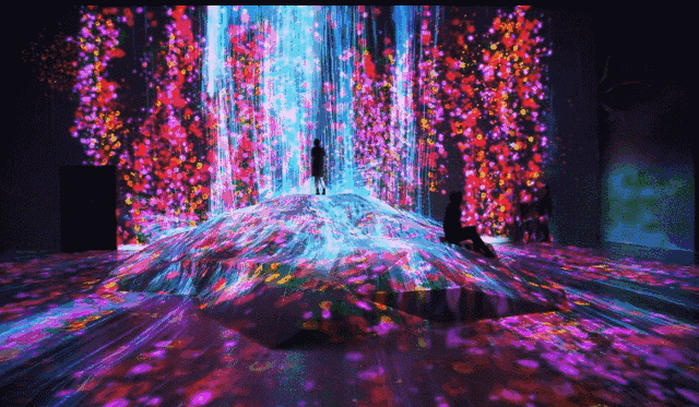 7.gif 7.gif